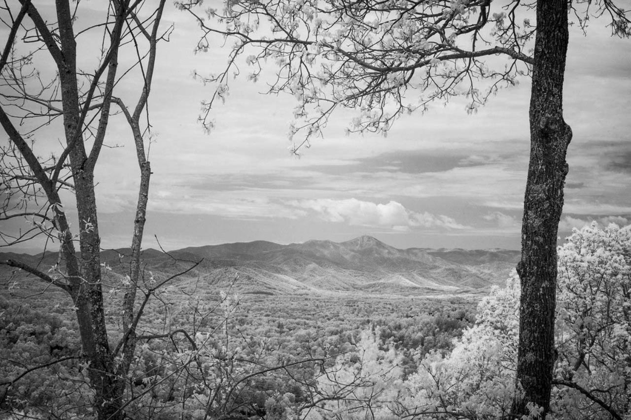 Elk Mountain Sanctuary With Views 6 Mi To Asheville Buitenkant foto